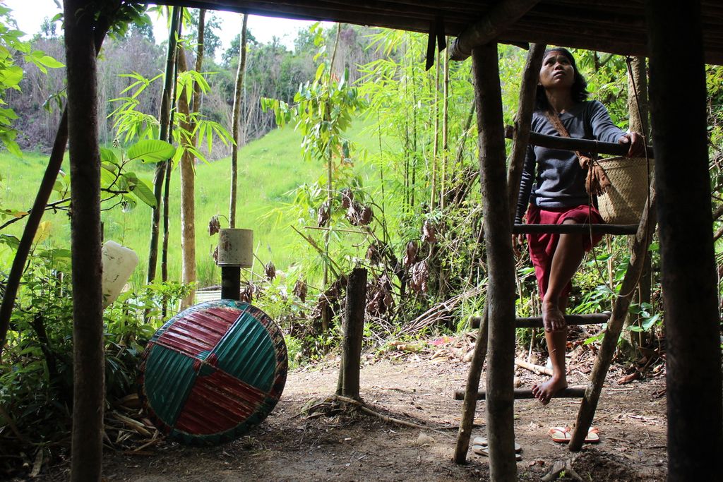 Noorsilawati (32), warga Desa Kinipan, Kabupaten Lamandau, Kalteng, menaiki tangga pondok di ladangnya pada  20 Januari 2022. Masyarakat Dayak Tomun merupakan peladang gilir balik yang membuka ladangnya di tengah hutan.