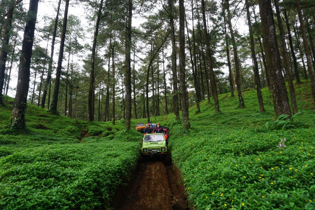 Rangkaian jip wisata Baturraden menyusuri jalur <i>off road </i>di hutan pinus Baturraden, Kabupaten Banyumas, Jawa Tengah, Sabtu (18/12/2021).