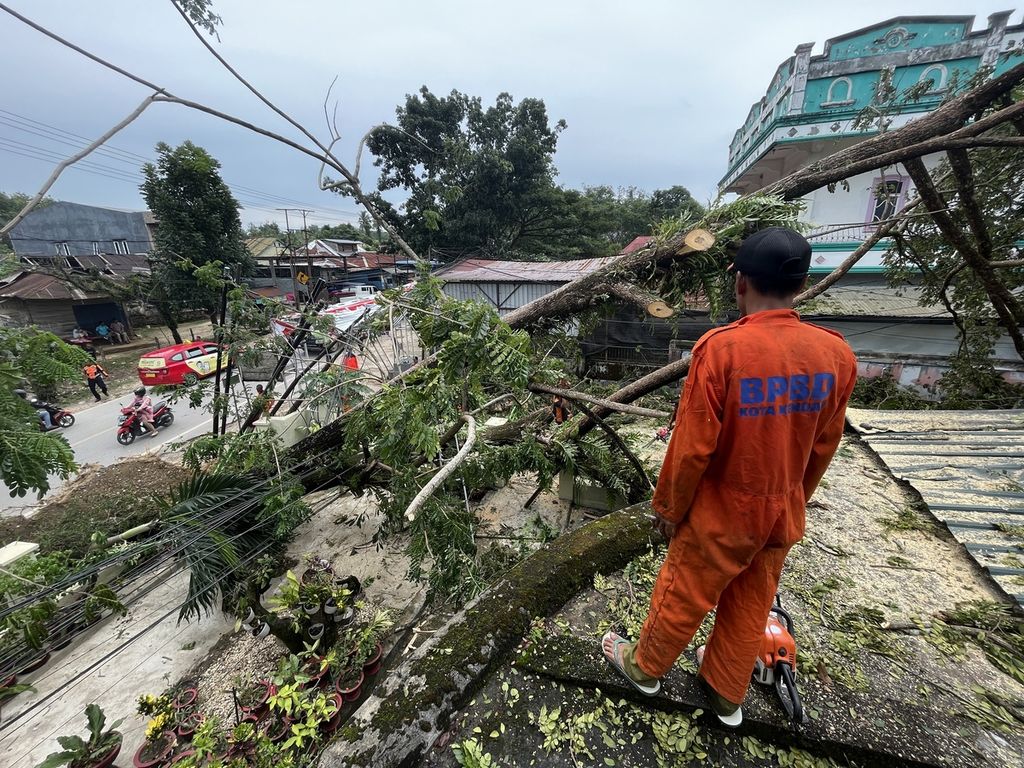 Petugas BPBD Kendari memotong batang pohon tumbang yang menimpa rumah warga di Puuwatu, Kendari, Sulawesi Tenggara, Senin (6/3/2023). Cuaca ekstrem melanda wilayah Kendari pada Minggu (5/3/2023) petang mengakibatkan rusaknya bangunan serta menimbulkan korban jiwa.