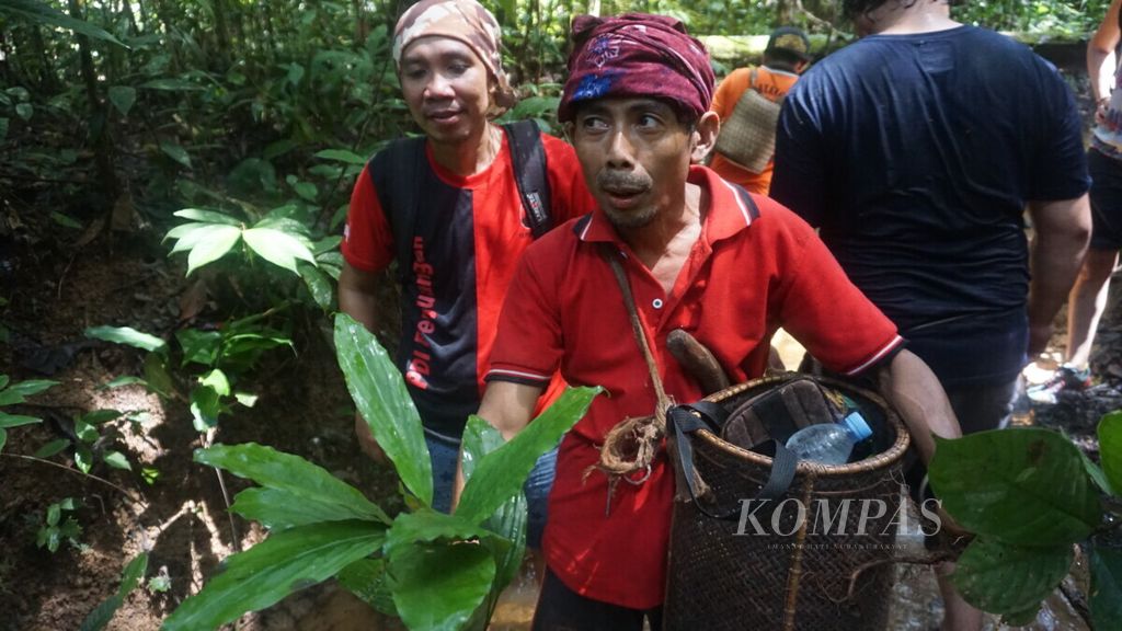 Hardias Sway (50), warga Desa Kinipan, menunjukkan beberapa tanaman obat yang biasa ia racik untuk mengobati warga Desa Kinipan, Kabupaten Lamandau, Kalteng, Minggu (20/1/2019).