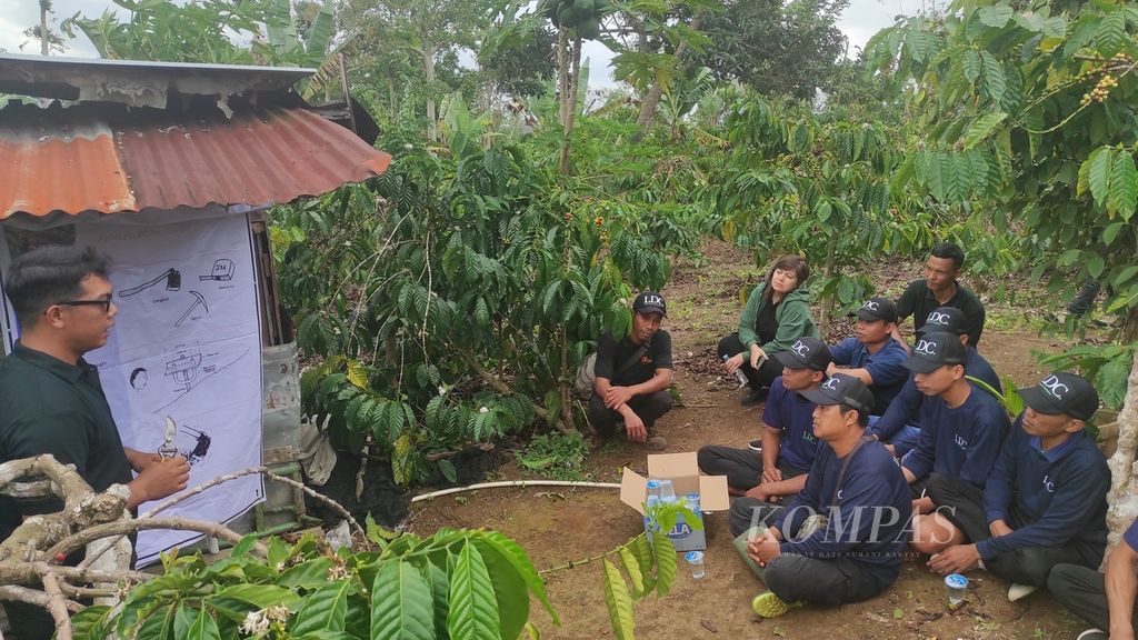 Agronomis LDC Indonesia, Gusti, memberikan pelatihan pola pertanian kopi berkelanjutan bagi petani di Kelurahan Gunungsari, Kecamatan Ulu Belu, Kabupaten Tanggamus, Lampung, Rabu (2/8/2023).