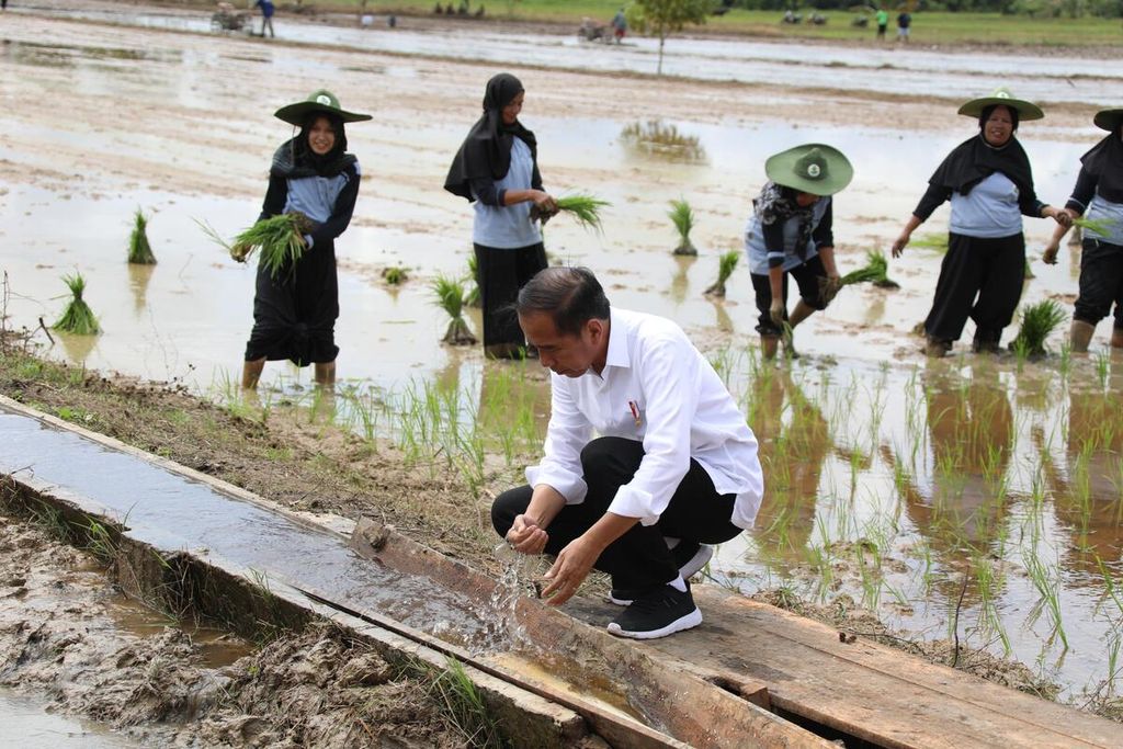 Presiden Joko Widodo memeriksa air dan saluran irigasi di sawah di Kabupaten Kotawaringin Timur, Kalimantan Tengah, Rabu (26/6/2024).