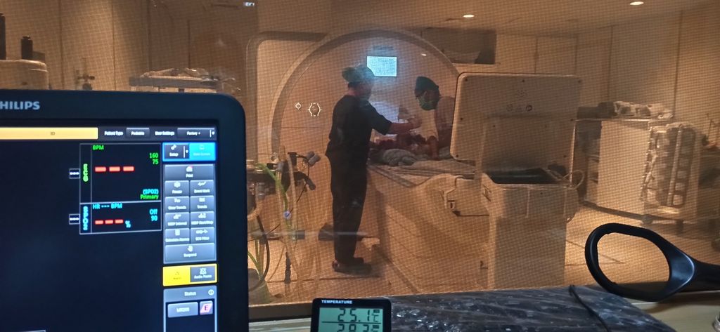 Tenaga kesehatan profesional memantau proses pemeriksaan MRI otak pada pasien yang dirawat di Rumah sakit Pusat Otak Nasional Prof Dr dr Mahar Mardjono, Jakarta, Senin (6/2/2023). Pemeriksaan MRI otak merupakan salah satu pemeriksaan yang termasuk di dalam rangkaian pemeriksaan <i>brain check up</i>. 