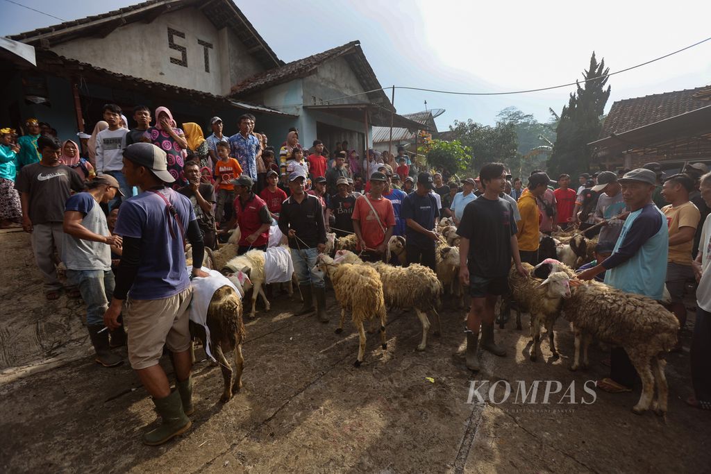 Warga bersiap menggiring kambing kurban menuju makam Kiai Kramat dalam tradisi Nyadran di Dusun Pete, Desa Kembangsari, Kandangan, Temanggung, Jawa Tengah, Jumat (23/2/2024). 