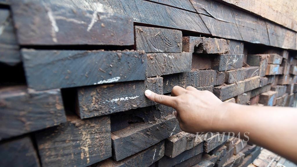 Petugas memeriksa barang bukti kontainer berisi kayu ilegal asal Papua saat rilis penggagalan penyelundupan kayu ilegal Ditjen Gakkum Kementerian Lingkungan Hidup dan Kehutanan di Terminal Teluk Lamong, Surabaya, Rabu (16/1/2019).
