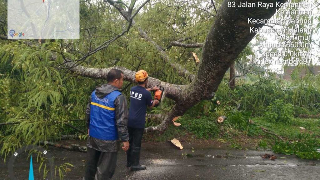 Petugas memotong dahan pohon tumbang di Desa Kemantren, Kecamatan Jabung, Kabupaten Malang, Jawa Timur, sebagai dampak hujan deras disertai angin, Kamis (30/11/2023).