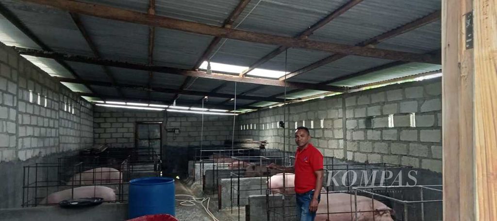 Joni Tamael (41), peternak Kelurahan Naioni Kota Kupang, Selasa (3/1/2023), sedang berada di dalam kandang babi. Ia hendak memberi makan 40 ternak babi tersisa. Sebagian besar babi telah dijual pada Natal dan Tahun Baru 2023.