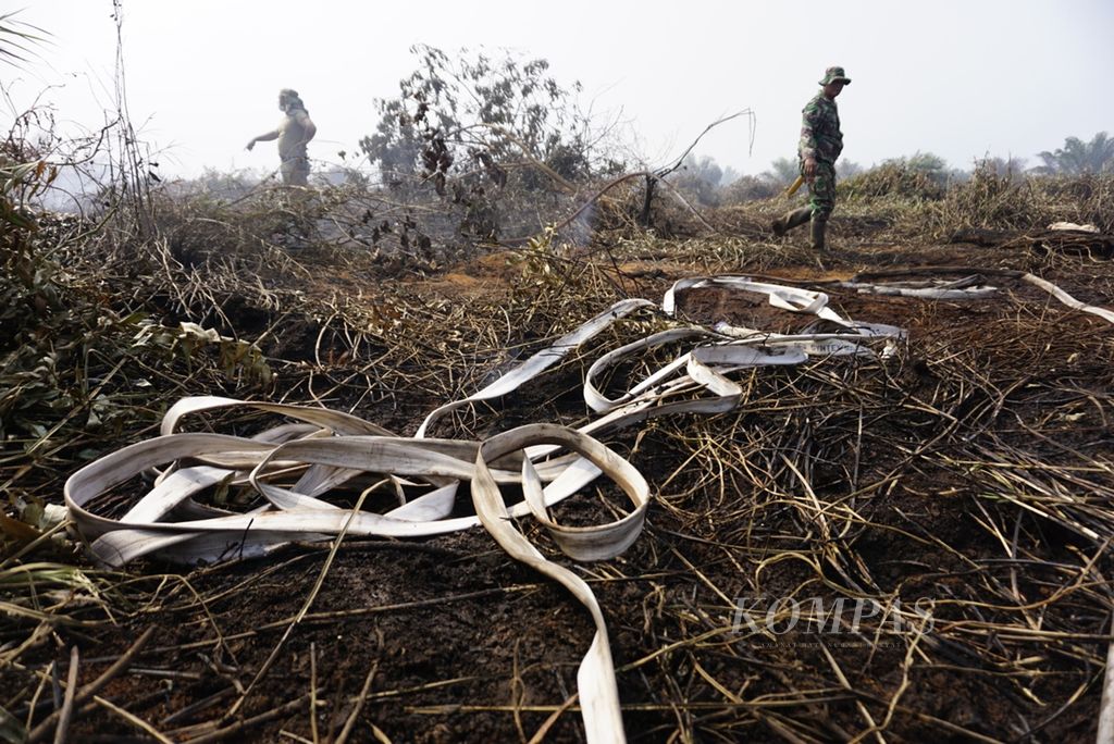 Petugas memadamkan api di lahan gambut yang terbakar di perbatasan Kelurahan Petung dan Desa Giripurwa, Kecamatan Penajam, Kabupaten Penajam Paser Utara, Kalimantan Timur, September 2019. 