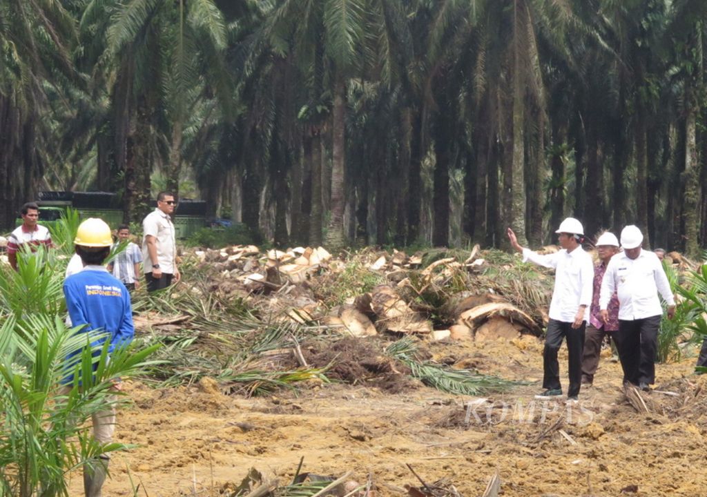 Presiden Joko Widodo menyapa petani kebun sawit di Desa Pelita, Kecamatan Bagan Sinembah, Kabupaten Rokan Hilir, Riau, Rabu (9/5). Mereka adalah peserta program peremajaan sawit rakyat yang pohonnya telah berusia 25-30 tahun.