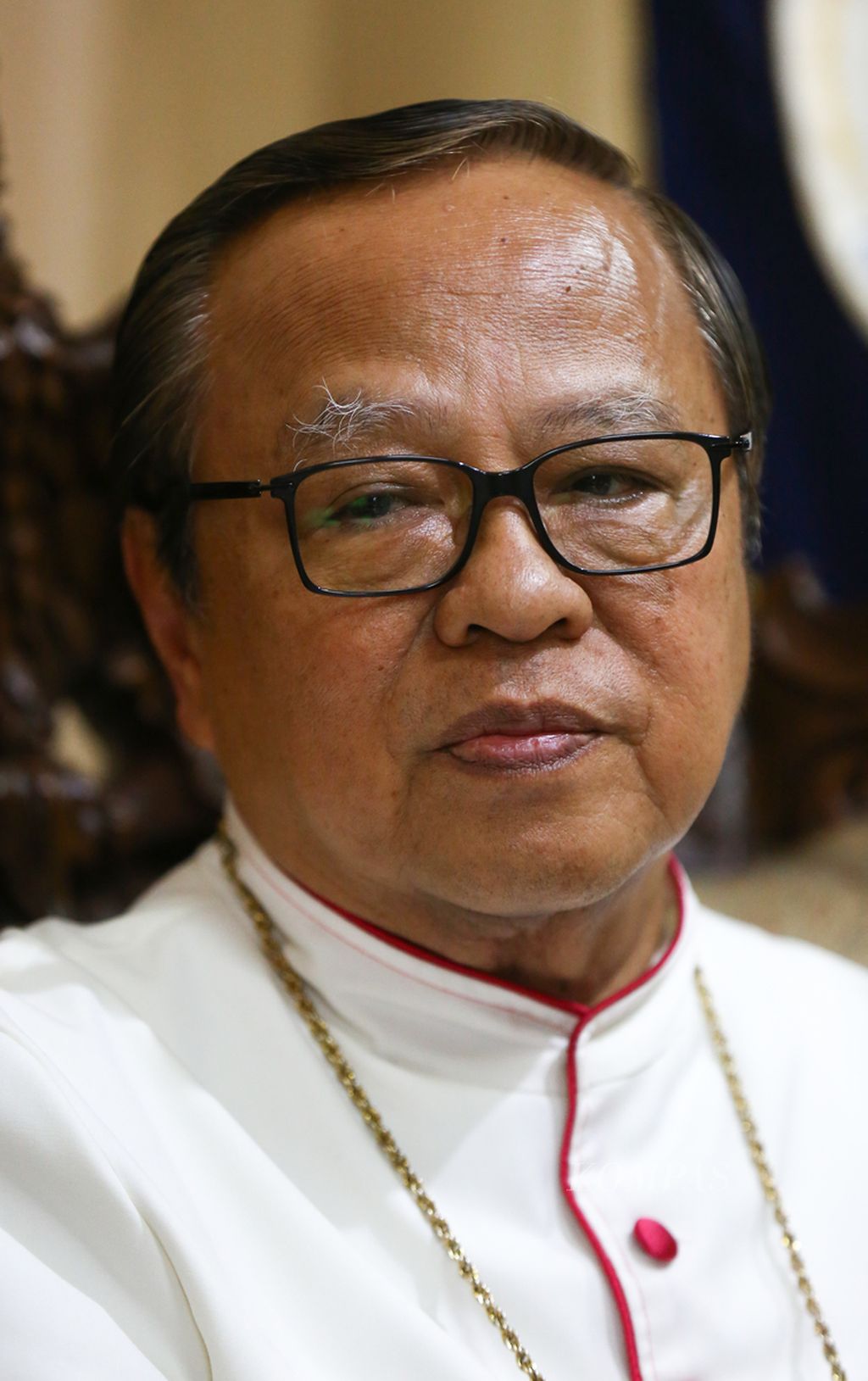 Kardinal Ignatius Suharyo