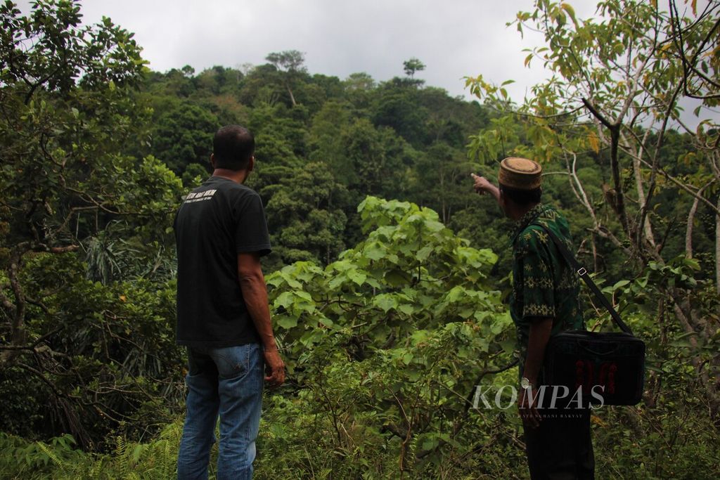 Imum Mukim Beungga Ilyas (pakai peci) menunjukkan kawasan hutan lindung di Kecamatan Tangse, Kabupaten Pidie, Provinsi Aceh, yang akan diusulkan sebagai hutan adat, Selasa (14/2/2023).