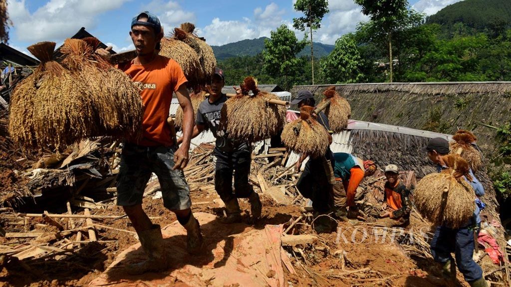 Warga memindahkan padi hasil panen dari lumbung padi yang terancam longsor ke lumbung padi lain yang aman di Desa Sirnaresmi, Kecamatan Cisolok, Kabupaten Sukabumi, Jawa Barat, Jumat (4/1/2019).