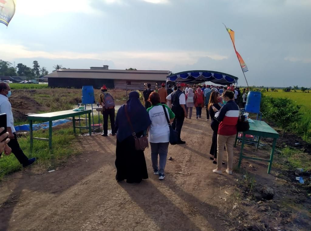 Suasana kunjungan ke lahan pertanian di Kabupaten Pulau Pisang, Kalimantan Tengah, untuk kegiatan KKN Kebangsaan 2022. Salah satunya akan diikuti mahasiswa Universitas Multimedia Nusantara, Tangerang, Banten. 