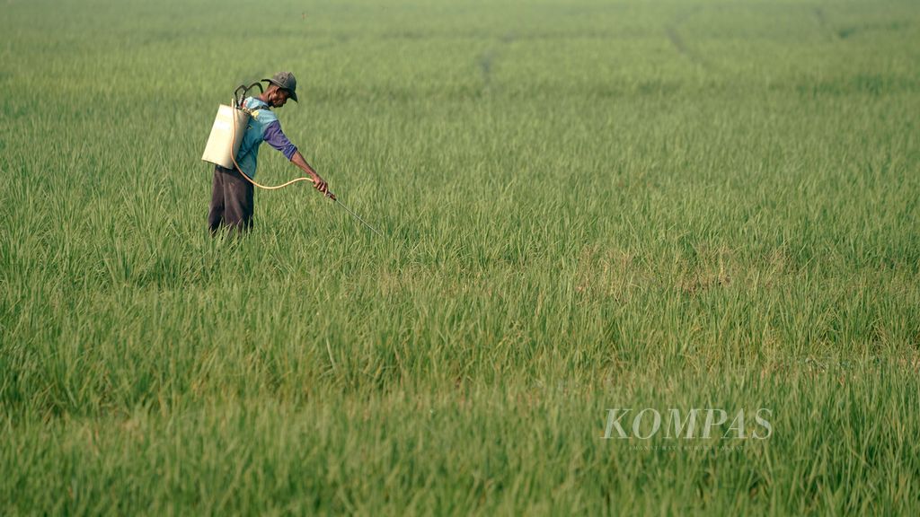 Petani menyemprotkan cairan untuk mengendalikan hama dan penyakit pada tanaman padi di Desa Srimahi, Kecamatan Tambun Utara, Kabupaten Bekasi, Rabu (24/8/2022). 