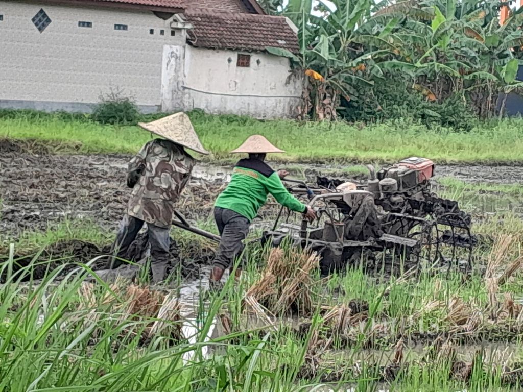 Dua petani membajak sawah di Desa Kebonduren, Kecamatan Pakisaji, Kabupaten Malang, Jawa Timur, Rabu (28/2/2024).