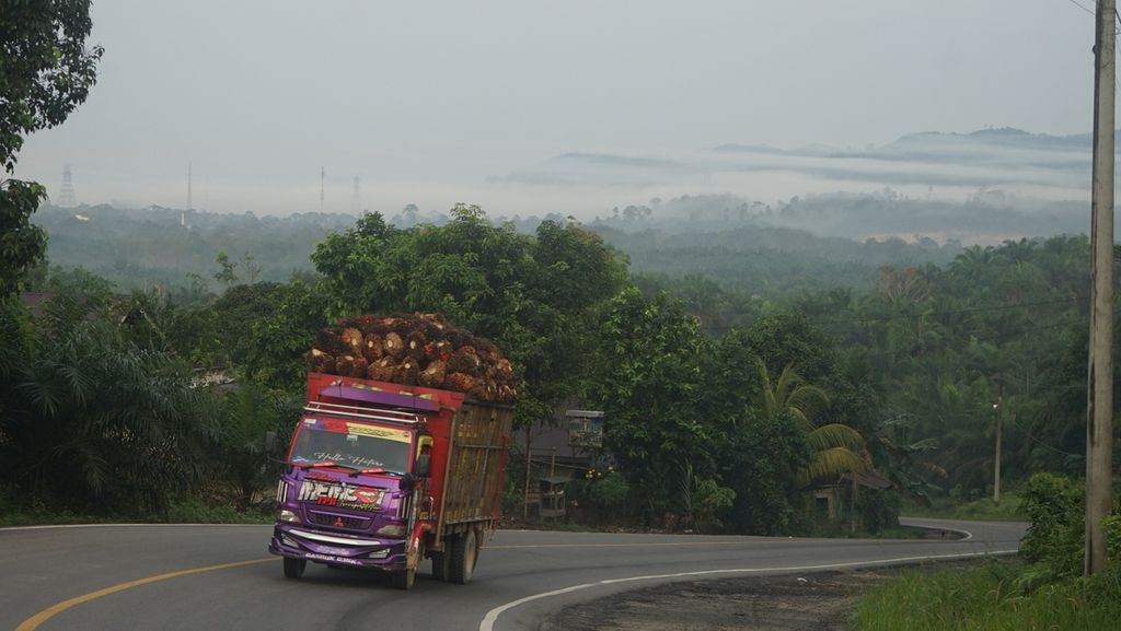 Sebuah truk pengangkut tandan buah segar (TBS) sawit tengah melewati jalan lintas timur sumatera di Kabupaten Indragiri Hilir, Provinsi Riau, Senin (2/1/2022).