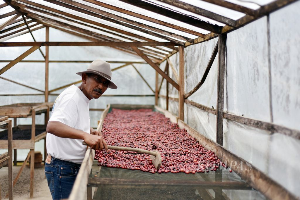 Prosesor kopi Frans Wicaksono menunjukkan alas penggeringan buah kopi di ruang pengeringan di halaman rumahnya di kawasan Rimba Candi, Dempo Tengah, Kota Pagaralam, Sumatera Selatan, Kamis (4/7/2024). 