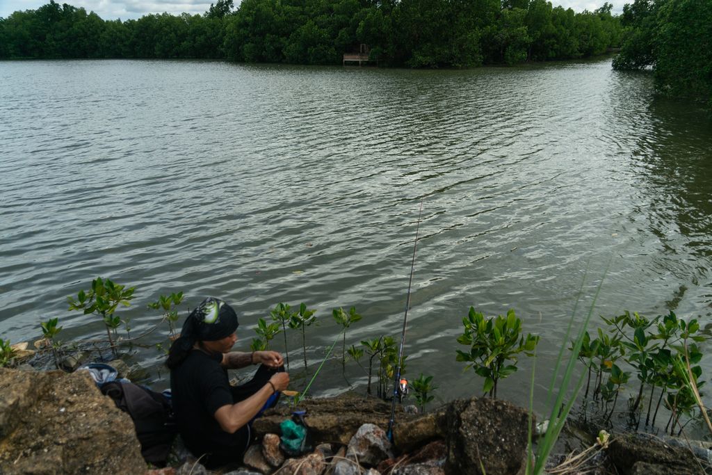 Seorang warga memancing di dekat kawasan mangrove di Teluk Kendari, Sulawesi Tenggara, Minggu (6/2/2022).