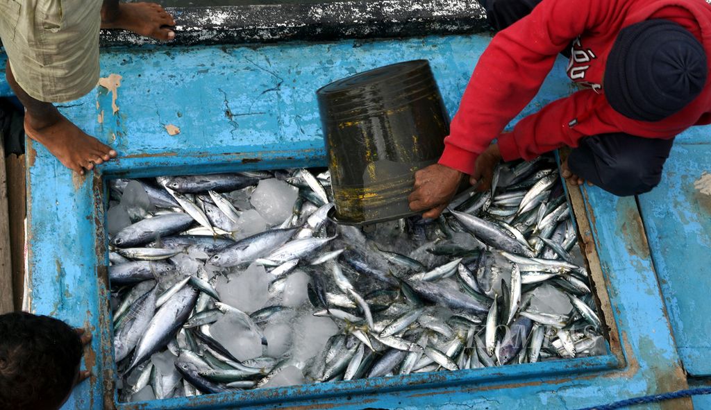 Hasil tangkapan dibawa ke Pangkalan Pendaratan Ikan (PPI) Dufa-dufa, Kota Ternate, Maluku Utara, September 2023. 