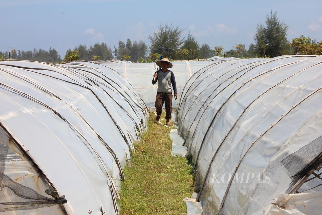 Produksi garam sistem geomembran kini banyak dilakukan oleh petani garam di Provinsi Aceh. Seperti usaha garam milik Muhammad Hatta, petani garam di Desa Pasi, Kecamatan Lhoong, Kabupaten Aceh Besar, kini semakin berkembang. Dia memulai usaha itu bermodal bantuan <i>tunnel</i> dari Pemprov Aceh.