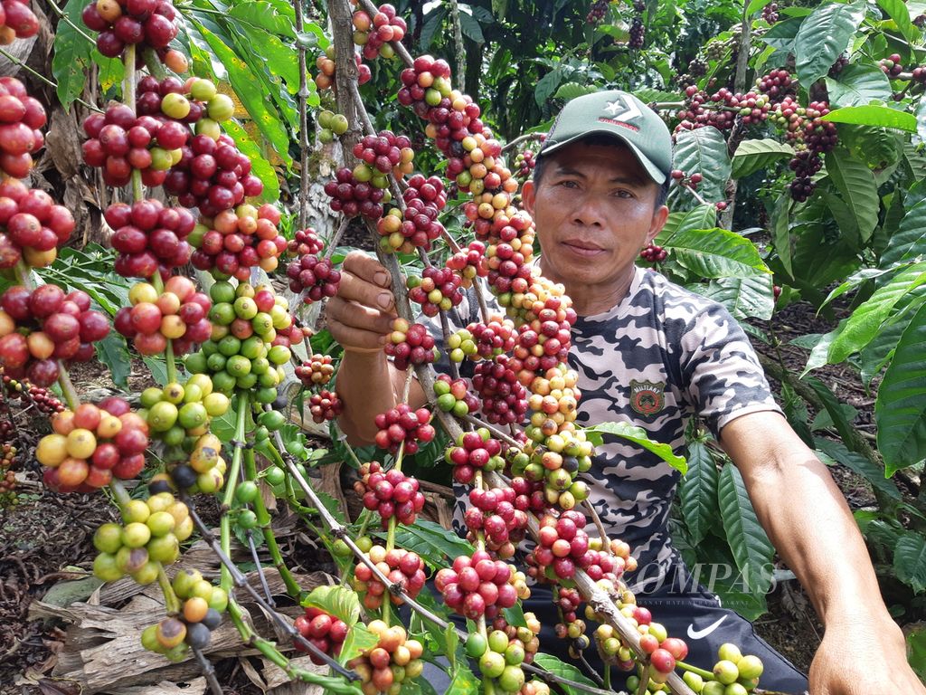 Cipto Marijo (56), petani asal Pekon Kembahang, Kecamatan Batu Brak, Kabupaten Lampung Barat, Lampung.