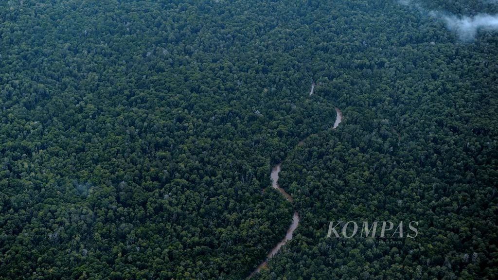Hamparan hutan dengan beragam jenis rapatan pohon di pesisir selatan Kabupaten Asmat, Papua, Jumat (2/2/2018). Bagi masyaraat tradisional, seperti Asmat, hutan sebagai gantungan hidup dalam memenuhi kebutuhan mereka.