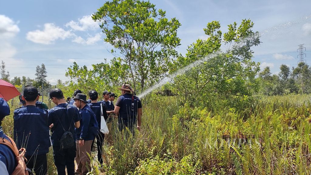 Para sukarelawan mencoba membasahi lahan gambut dengan air yang bersumber dari sumur bor, Jumat (21/6/2024), di Desa Tumbang Nusa, Kecamatan Jabiren Raya, Pulang Pisau, Kalimantan Tengah.