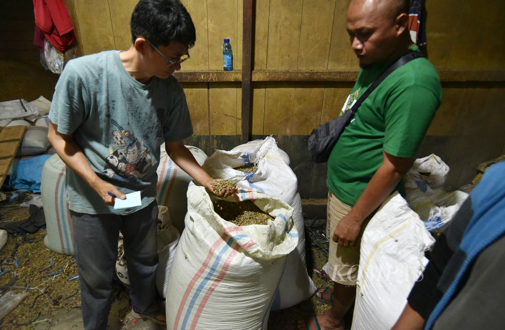 Pemilik Gudang Kopi Tomo mengecek kualitas biji kopi kering yang ingin dijual petani ke gudangnya di Pagar Alam Selatan, Pagar Alam, Sumatera Selatan, Rabu (3/7/2024). Ada sejumlah indikator yang menentukan harga kopi, antara lain tingkat kekeringan atau kadar air, kebersihan, ukuran biji, dan kualitas buah yang menghasilkan biji tersebut, apakah dari petik asalan atau petik merah.